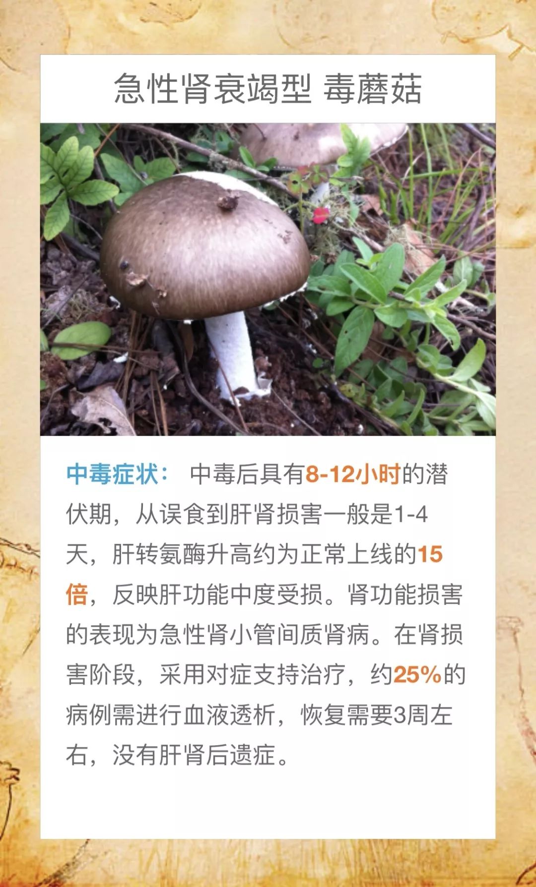 DƬ